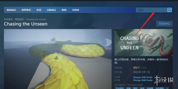 《Chasing the Unseen》下载方法-chasing the unseen游戏攻略推荐