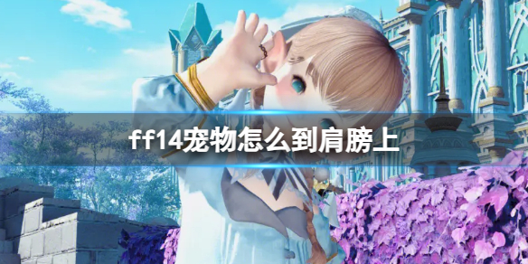 如何让宠物到《FF14》肩膀上？最终幻想14游戏攻略推荐