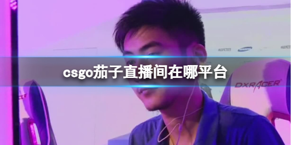 csgo茄子直播间在哪个平台？拼多多？知乎？斗鱼？