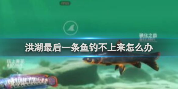 欢乐钓鱼大师洪湖最后一条鱼钓不上来解决方法-欢乐钓鱼大师游戏攻略推荐