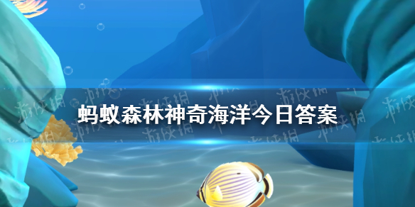 生活在海中的柳叶鳗是鳗鱼的幼年期还是老年期 神奇海洋4.1答案-支付宝游戏攻略推荐