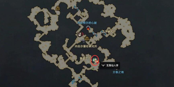 《命运方舟》汁液流淌的瓦鲁仙人掌位置介绍-命运方舟游戏攻略推荐