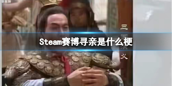 Steam赛博寻亲是什么梗-梗百科游戏攻略推荐