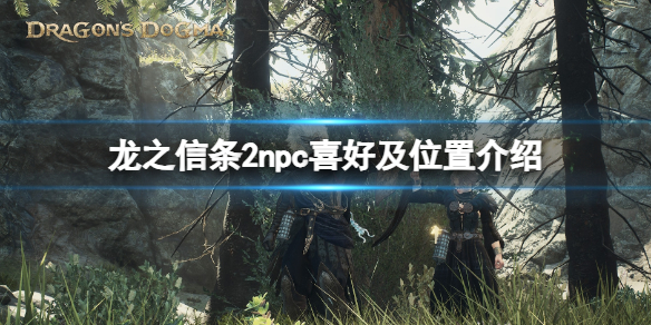 《龙之信条2》npc喜好及位置介绍-龙之信条2游戏攻略推荐