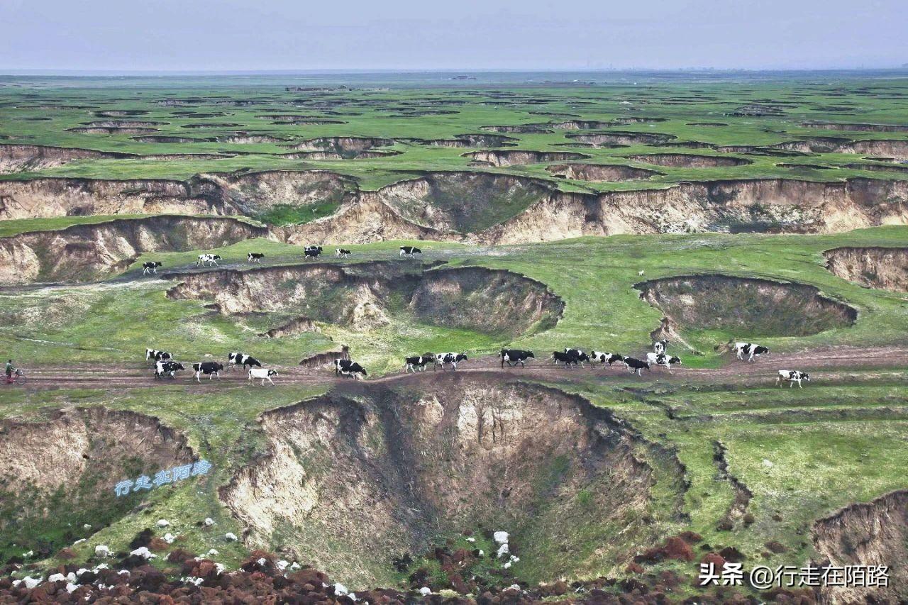 金矿工资有一万多吗（蒙古黑矿工：十万牧民放弃游牧，挖矿12小时日入60元）-第12张图片-拓城游