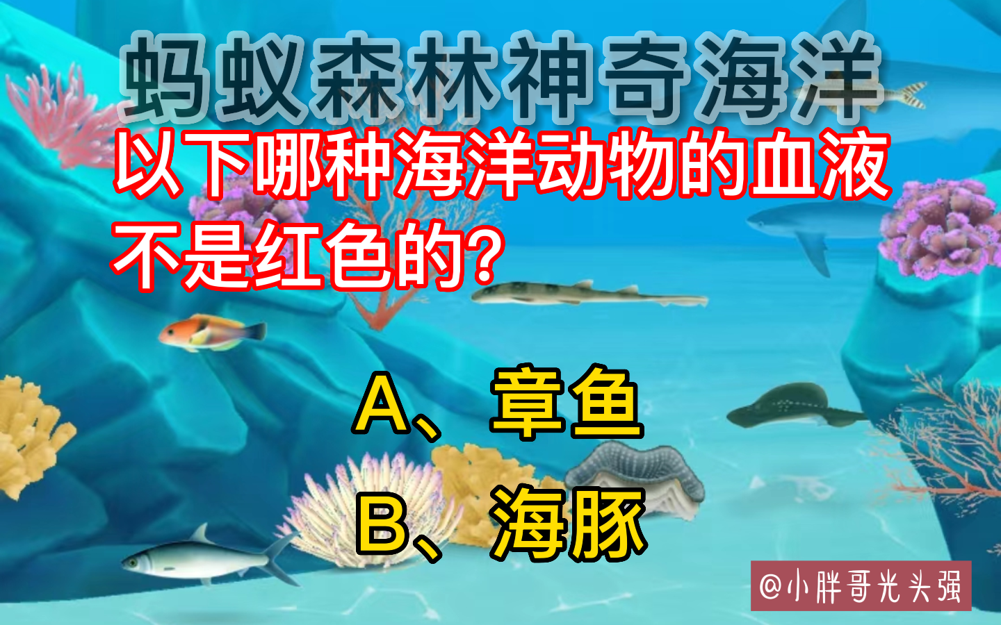 有哪些动物的血液不是红色的（哪种海洋动物的血液不是红色的？蚂蚁森林神奇海洋）-第2张图片-拓城游