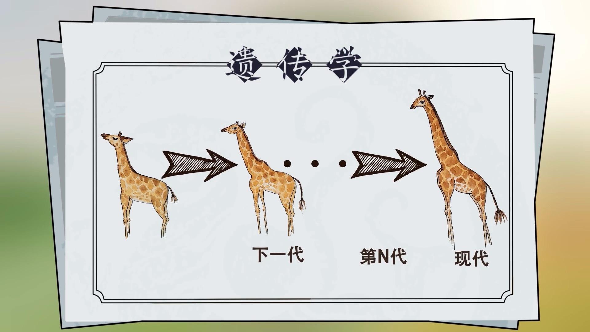 洛克王国电动长颈鹿华贵天鹅闪电鸵鸟哪个宠物好（最容易被雷劈死的动物，还会被树杈勒死！为何长颈鹿要长长脖子？）-第9张图片-拓城游