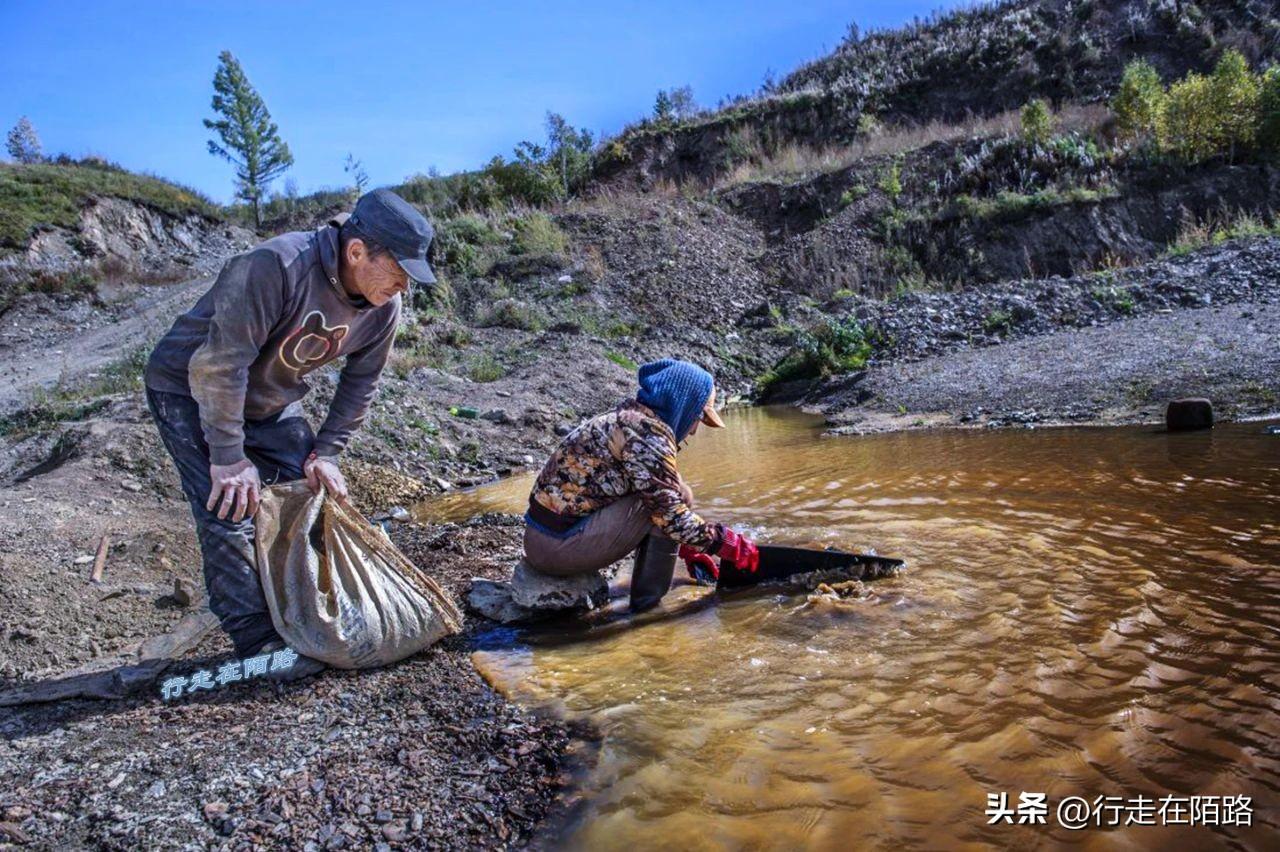 金矿工资有一万多吗（蒙古黑矿工：十万牧民放弃游牧，挖矿12小时日入60元）-第17张图片-拓城游