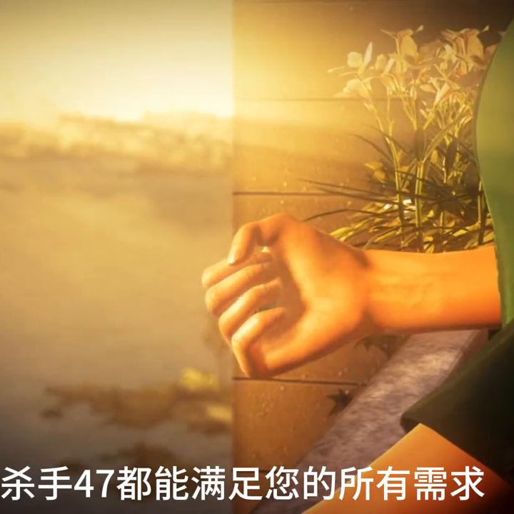 杀手5怎么解决HITMAN5停止工作（杀手5：赦免/Hitman: Absolution#寻声周计划）-第5张图片-拓城游