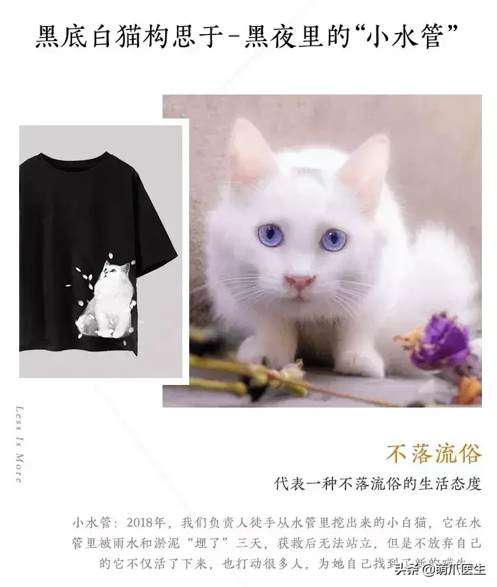 猫咪是后院是什么意思（准备养猫吗？教你如何辨别后院猫）-第18张图片-拓城游