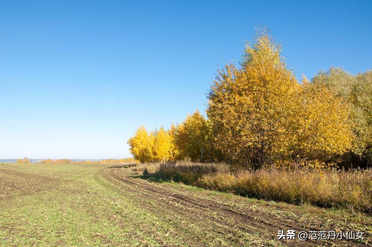 我所居住的小镇的作文（我的小镇）-第5张图片-拓城游