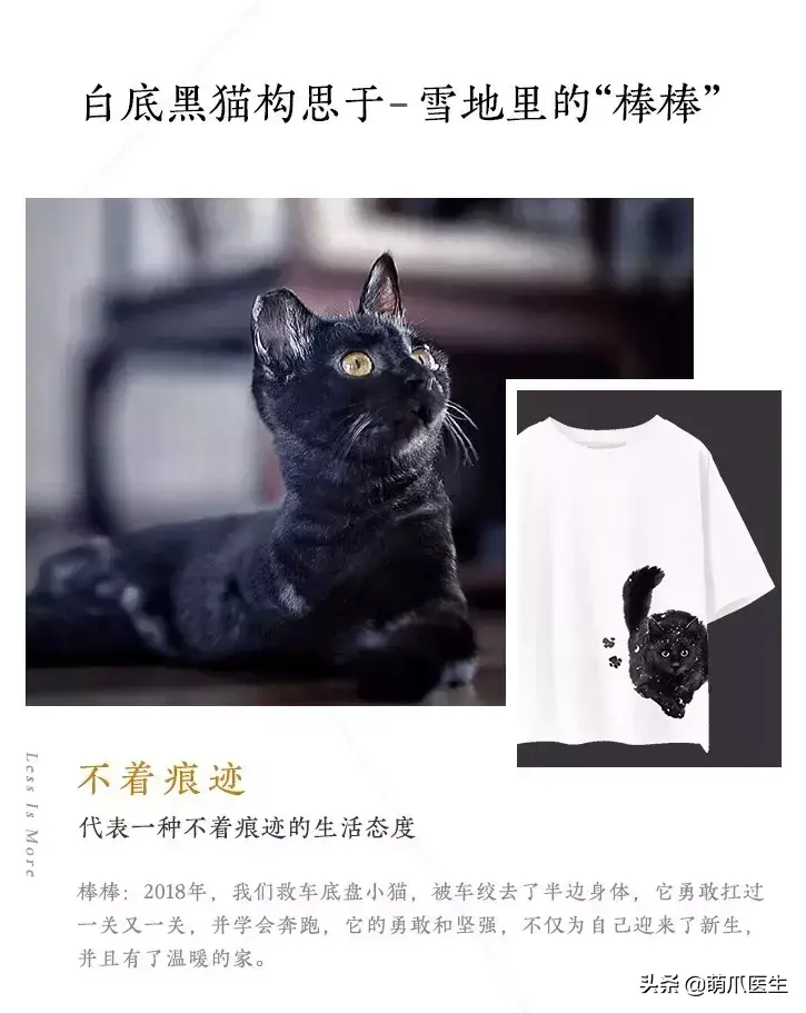 猫咪是后院是什么意思（准备养猫吗？教你如何辨别后院猫）-第17张图片-拓城游